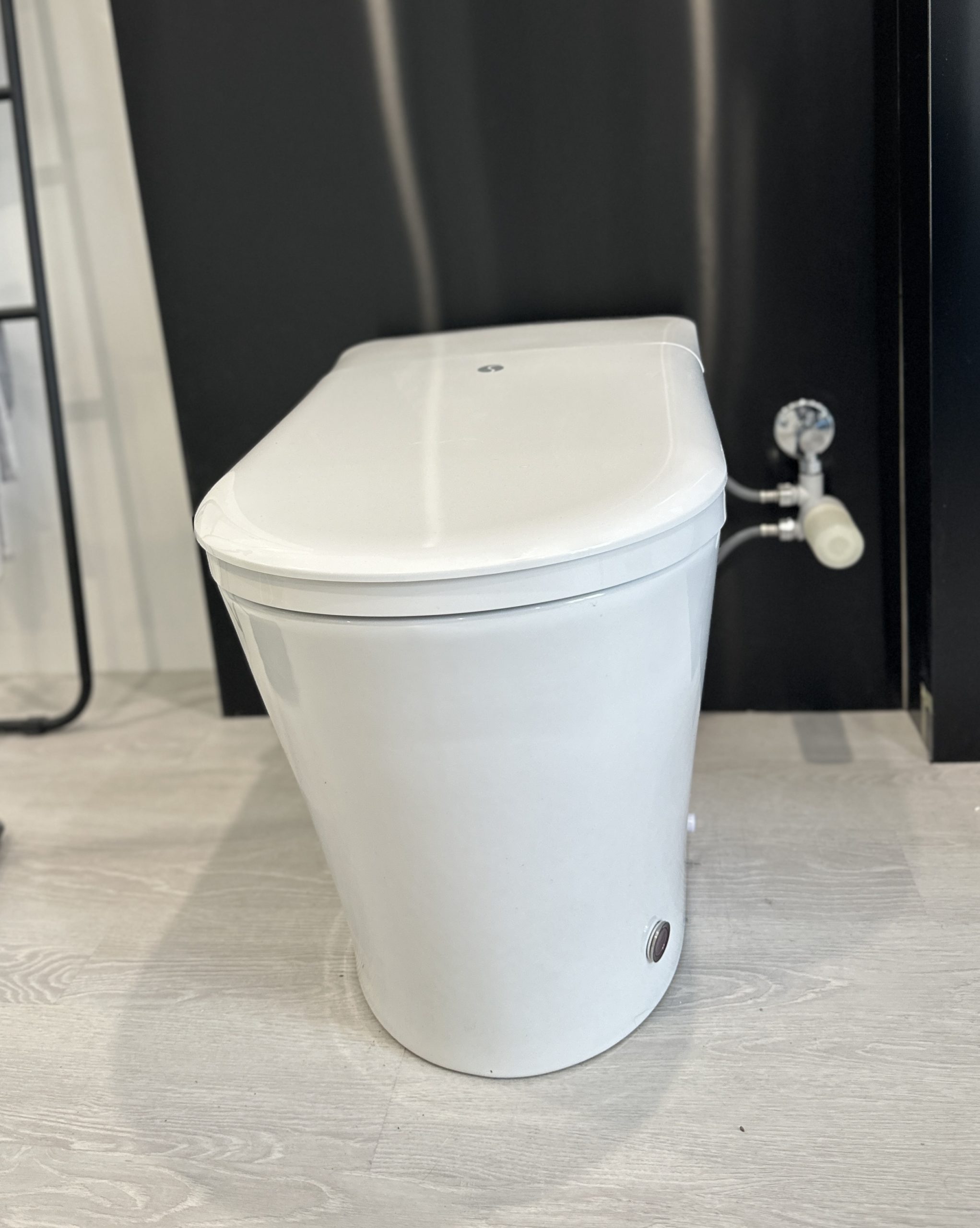 Les WC japonais peuvent-ils prévenir et guérir vos problèmes de santé ?